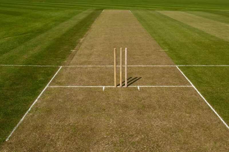 How Many Creases Are There in Cricket